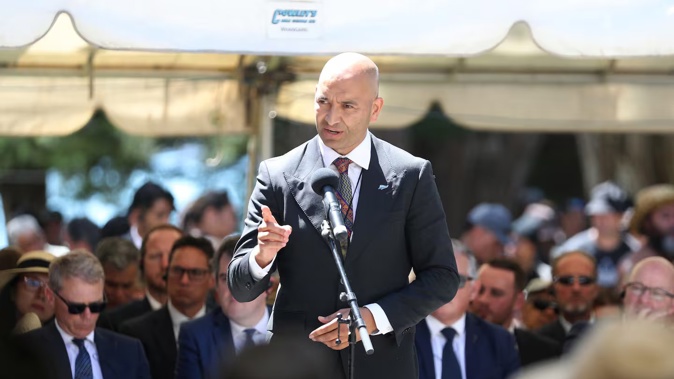 Māori Development Minister Tama Potaka addressing the crowd at Waitangi. Photo / Michael Cunningham