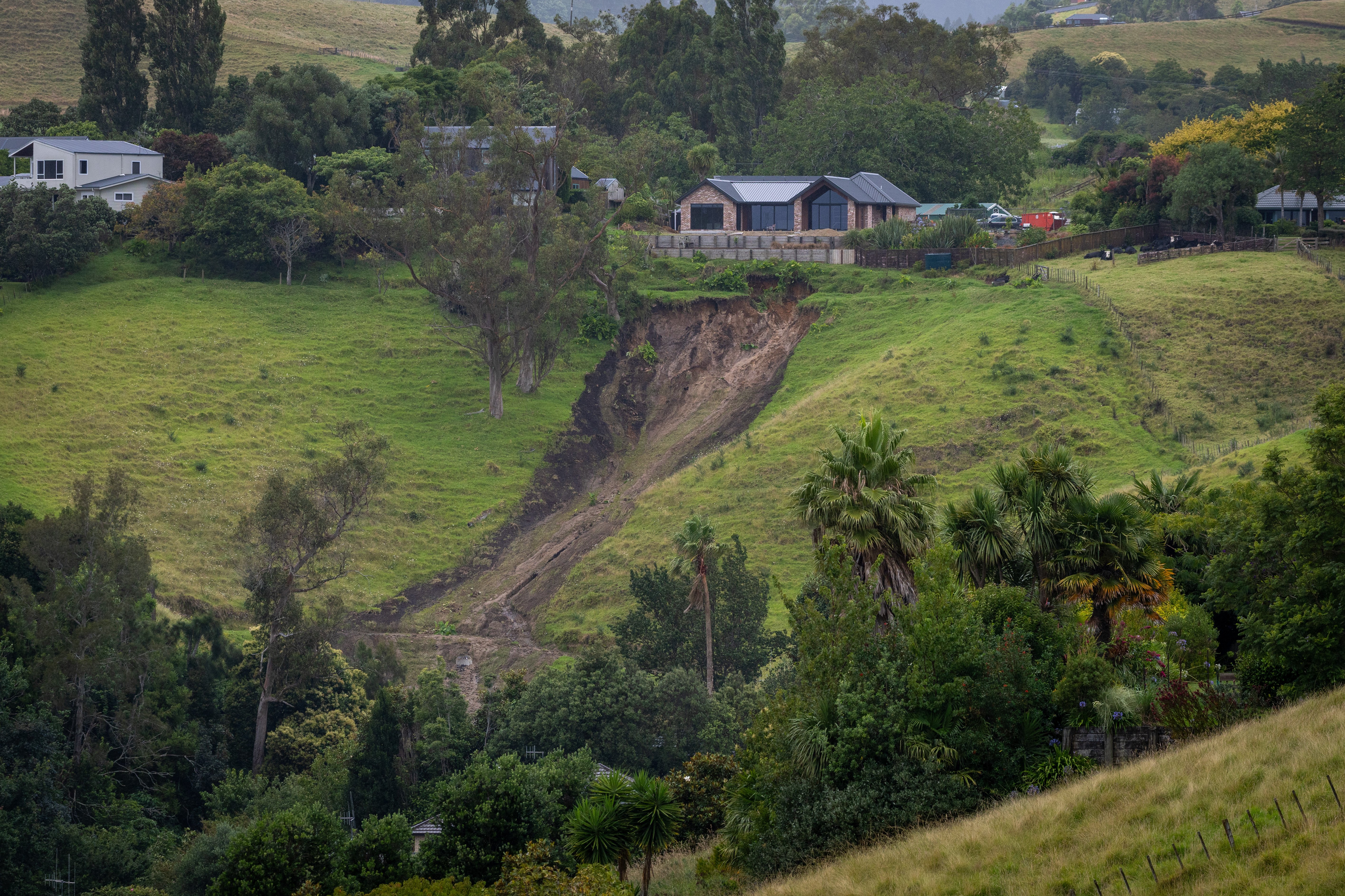 The Sunday Panel: How has this week's weather impacted the nation?