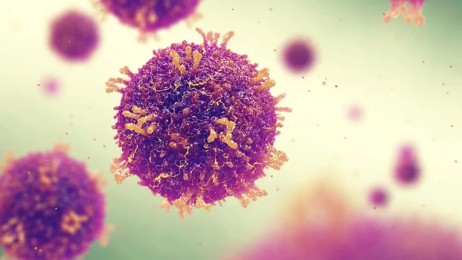 A confirmed measles case in the Bay of Islands was likely linked to overseas travel. Photo / AFP