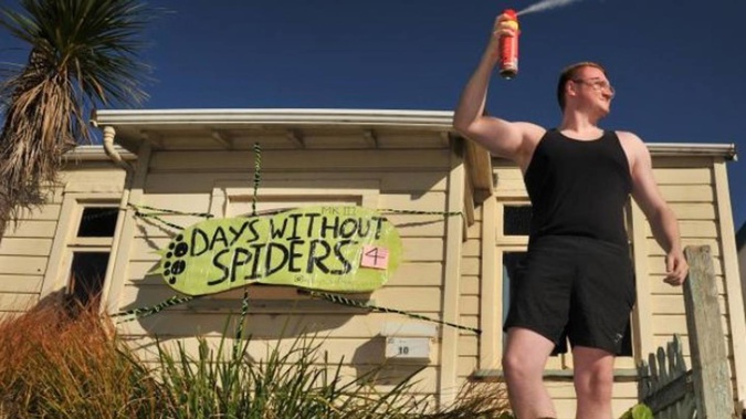Callum Bindon has been left dealing with two types of pest as people continuously steal the sign declaring his victory over his spider infestation. (Photo / Christine O'Connor)