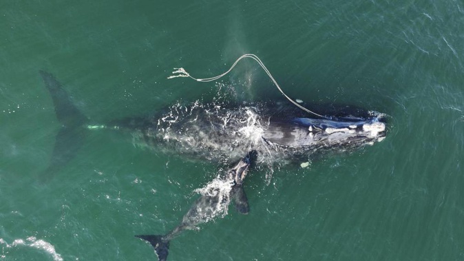 (Photo / AP)