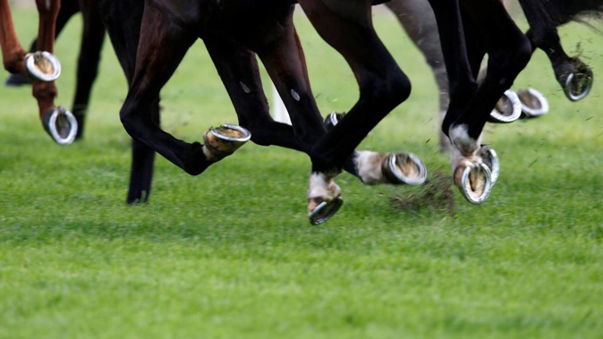Darren Smith was banned from racing for two years after his horse Tazimoto was found to have meth in its system following a win earlier this year. Photo / NZME