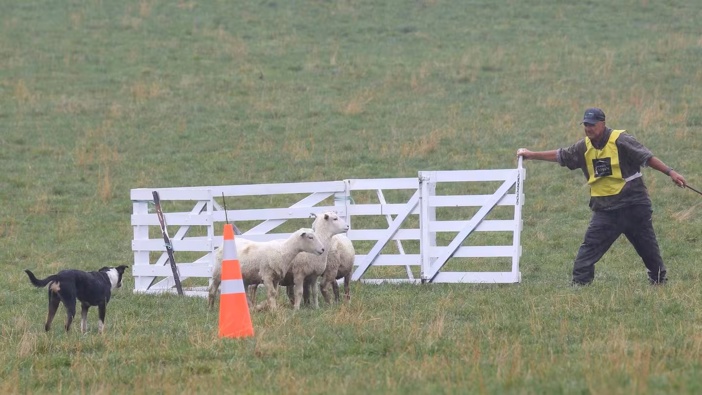 Leo Jecentho, seen here with his sheep dog Tess, will be in the NZ team with Jake at this year's Trans-Tasman Sheep Dog Trial Test.