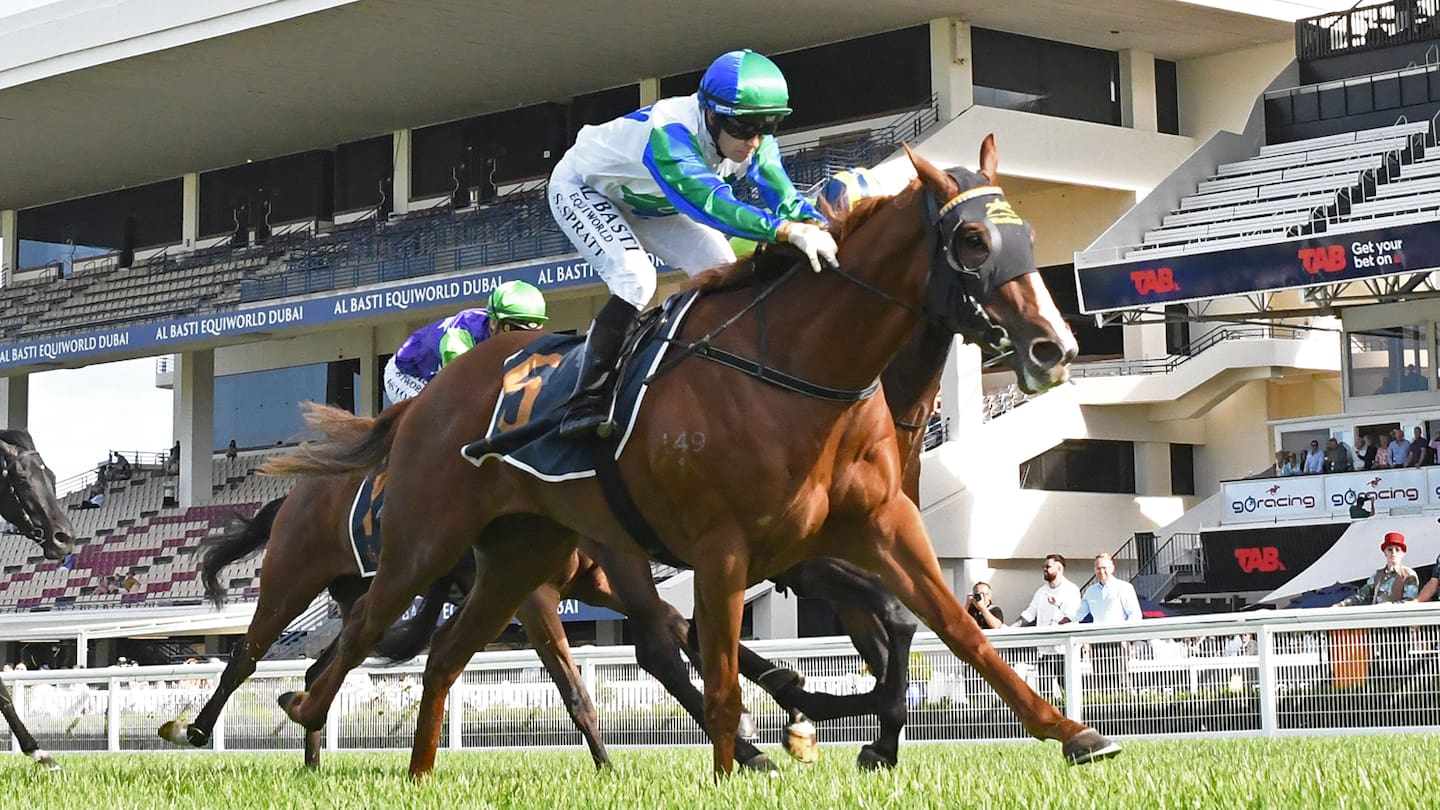 Sethito. Photo / Kenton Wright / Race Images