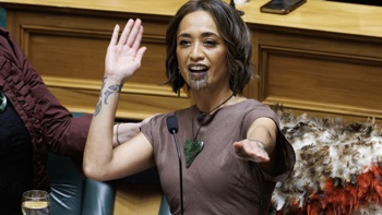 Perspective with Heather du Plessis-Allan: Did someone try to stop the Māori Party from hijacking Parliament?