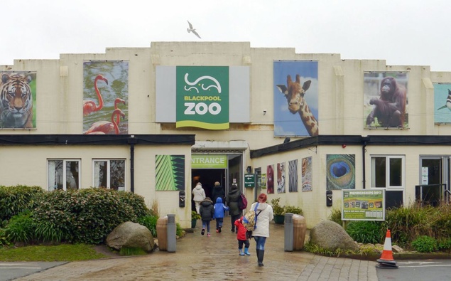 This zoo is seeking 5 people to dress up as birds and chase seagulls away