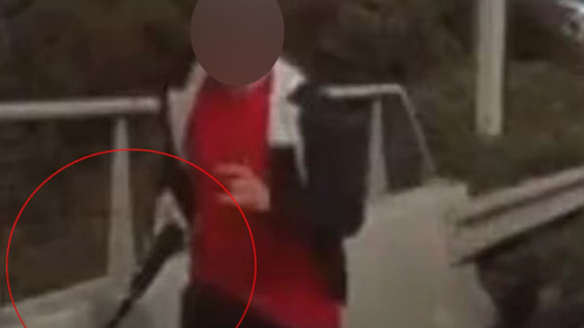 Police justified in West Auckland shooting, IPCA finds