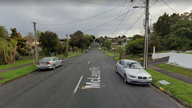 A property on McLeod Rd in Te Atatū South received 89 complaints. Image / Google Maps