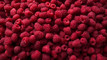 Nici Wickes: Raspberry Clasfoutis