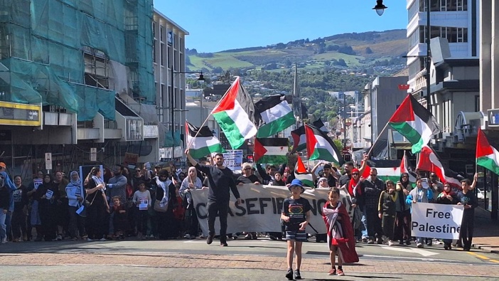 Hundreds of protestors gathered in Dunedin to call for a ceasefire in Palestine. Photo / Ben Tomsett