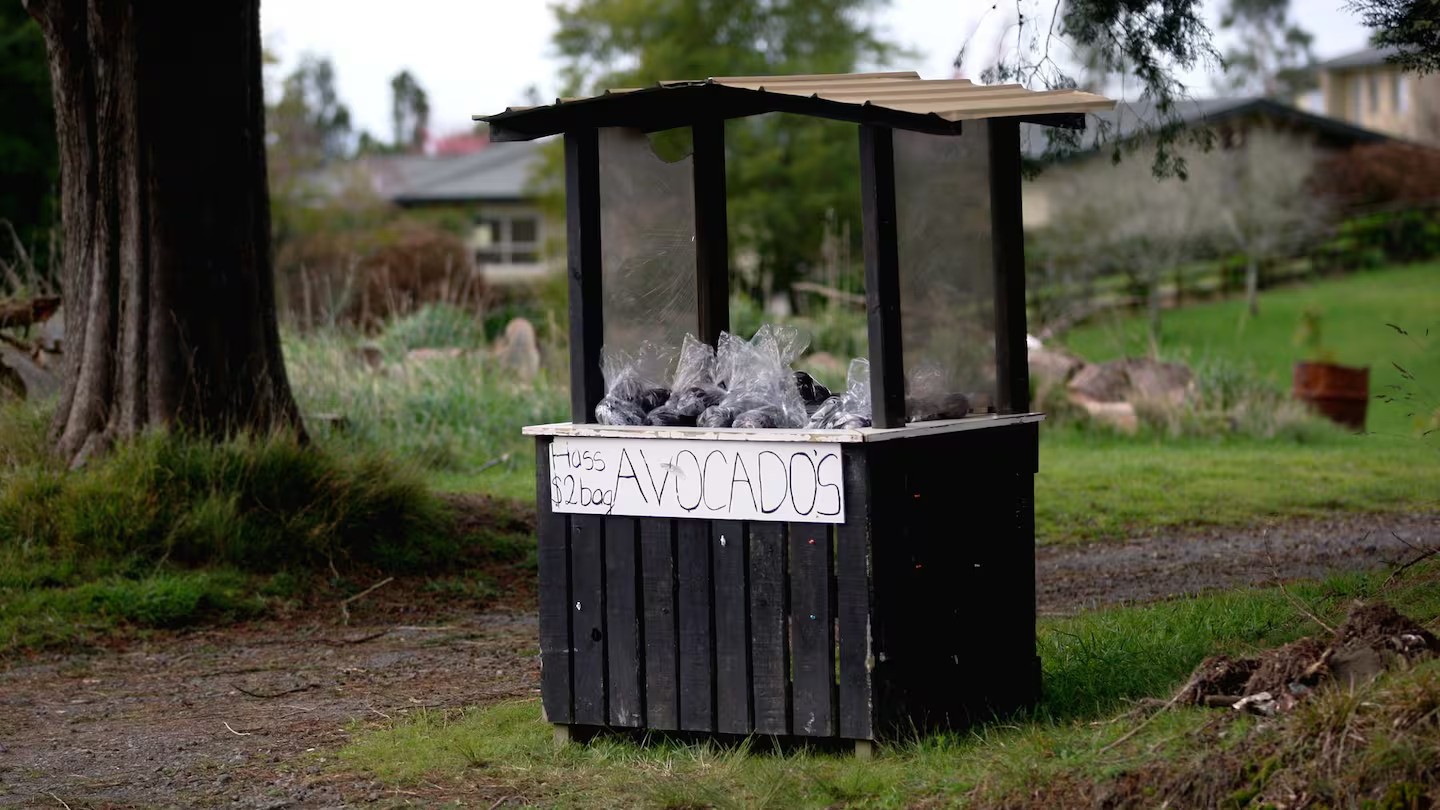 Frustrations raised after thieves keep robbing honesty boxes 
