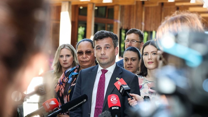 Act leader David Seymour at the Treaty Grounds ahead of Waitangi Day. Photo / Michael Cunningham