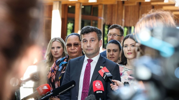 Act leader David Seymour at the Treaty Grounds ahead of Waitangi Day. Photo / Michael Cunningham