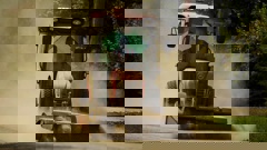 A sweeper working in dusty conditions in Hawke's Bay. Leptospirosis can be picked up by drinking contaminated water, or through the skin when cuts or grazes are exposed to contaminated water or mud. Photo / Paul Taylor