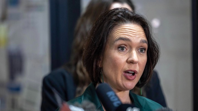 Former Police Minister Ginny Andersen refused to apologise for her comments. Photo / Mike Scott