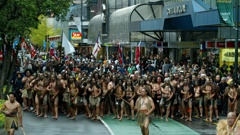 In 2004, intense public debate over customary rights to the foreshore and seabed split in the governing Labour Party and led to the formation of the Māori Party. Photo / Kenny Rodger