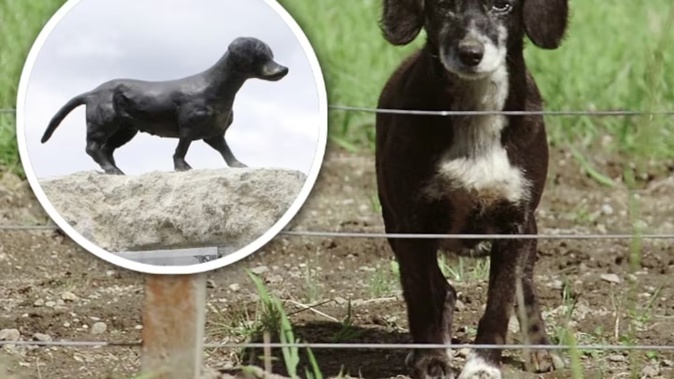 A bronze sculpture of stray dog Harawene was stolen in March but will this week be replaced. Photo / NZME
