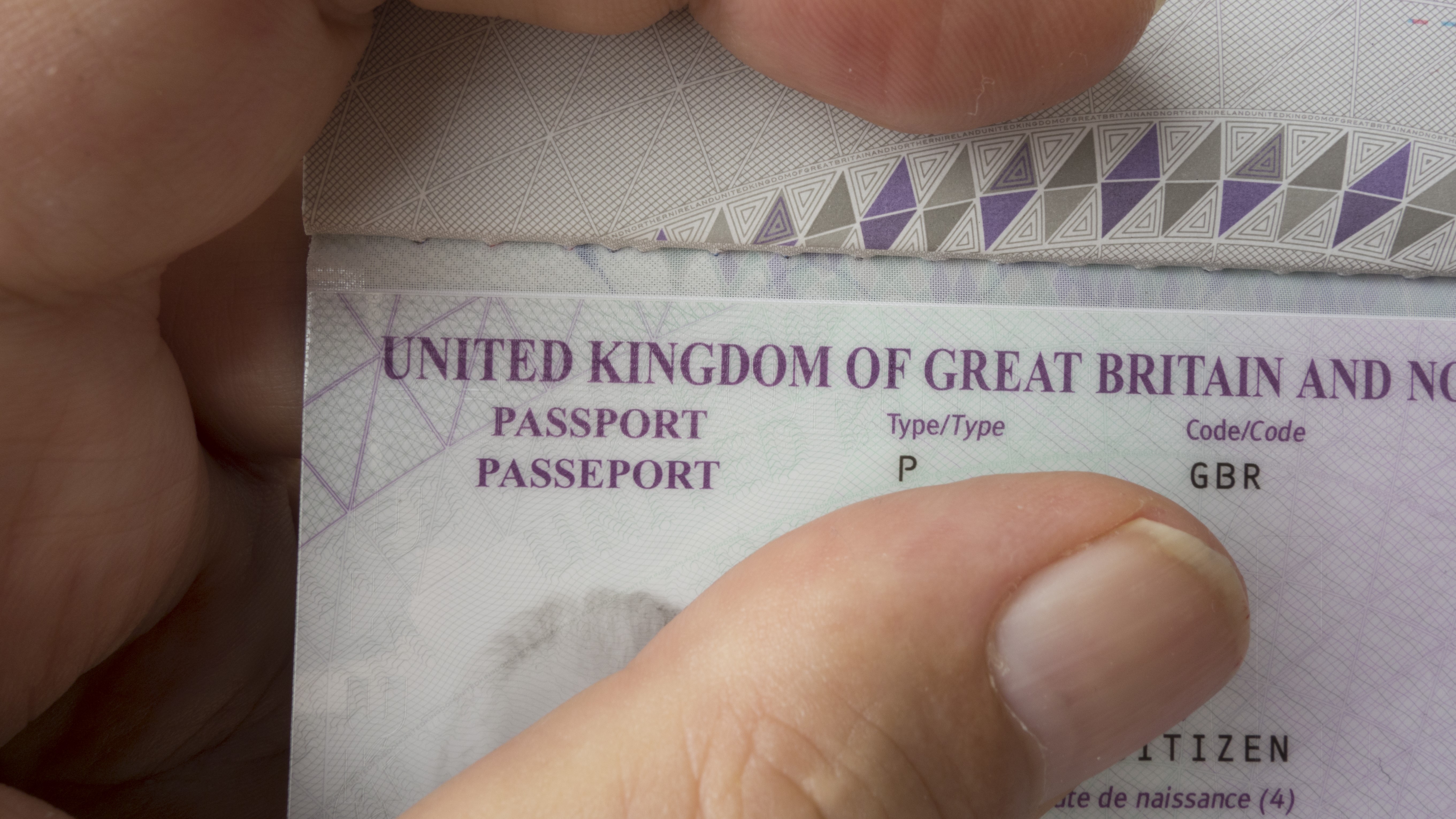 UK's "pulling their socks up" in terms of security with new dual citizenship passport rules 