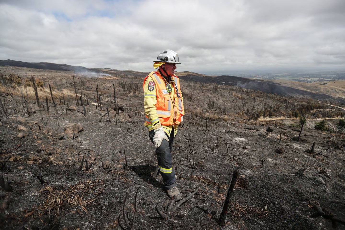 Operations manager Rob Hands surveys the damage done during the Christchurch's Port Hills fire as firefighters continue their efforts to dampen down remaining hot spots. Photo / Chris Skelton