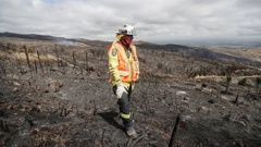 Operations manager Rob Hands surveys the damage done during the Christchurch's Port Hills fire as firefighters continue their efforts to dampen down remaining hot spots. Photo / Chris Skelton