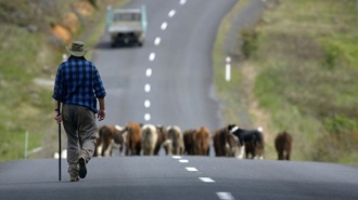 Do Kiwis really have the world's best 'work-life balance'?