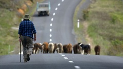 Does New Zealand really offer the perfect pace of life? Photo / Amos Chapple