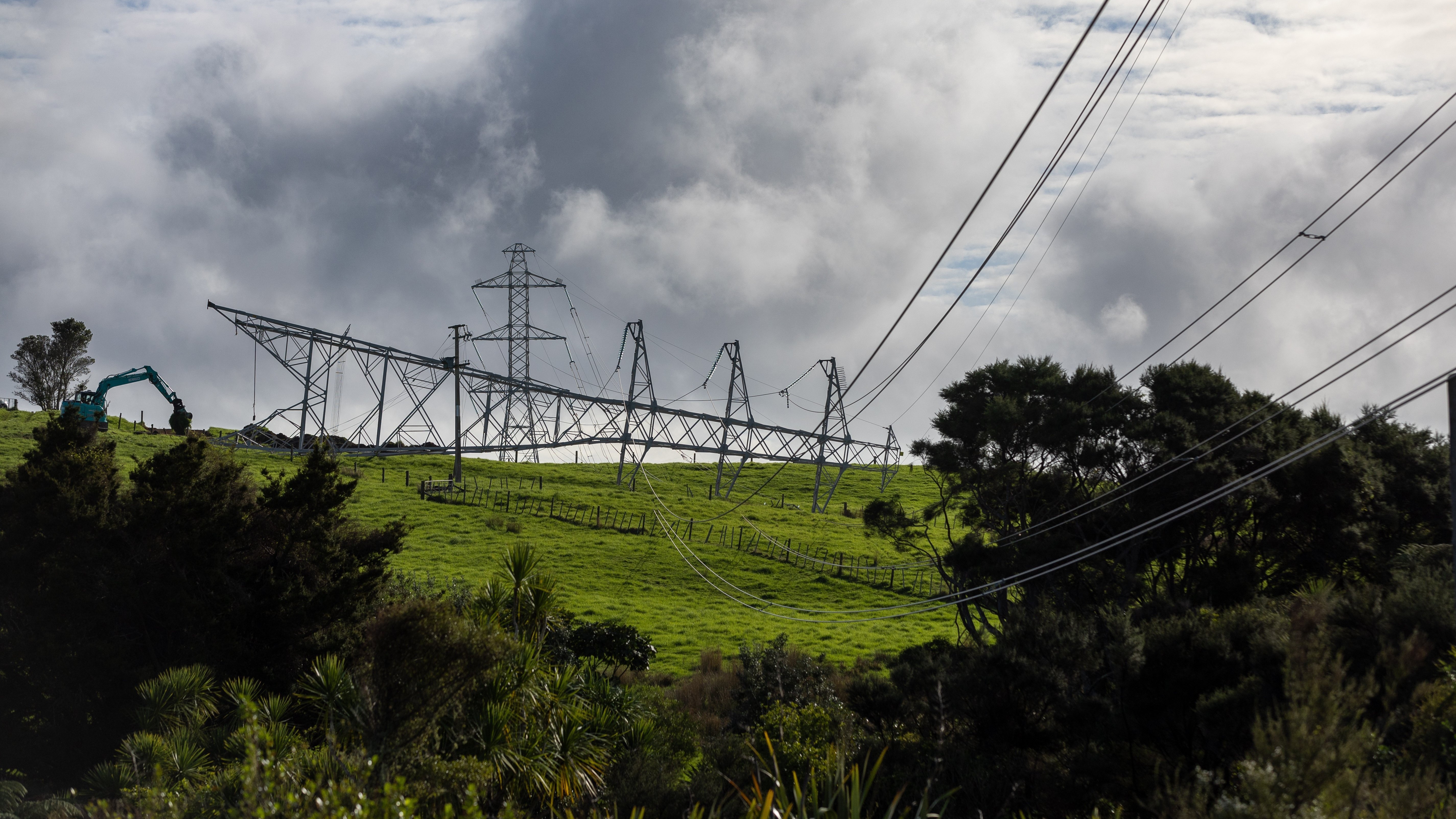 Photo / Michael Craig