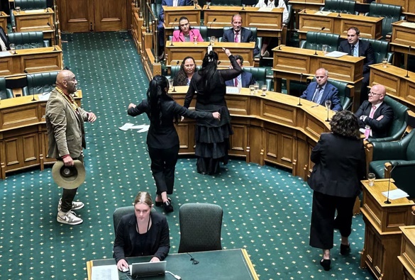 Members of Te Pāti Māori perform a haka in front of Act MPs during the first reading of the Treaty Principles bill in the house at Parliament. Photo / Adam Pearse