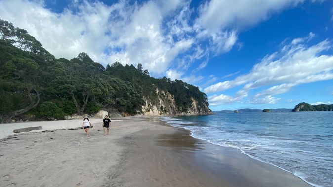 The northern end of Hāhei Beach on the Coromandel Peninsula, where a boy died after falling from a cliff. Photo / Al Williams