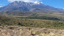 Francesca Rudkin: Decisions need to be made for Tongariro National Park