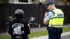 Police established a checkpoint near the Cuffs Rd pad after what neighbours said was a raucous night of festivities. Photo / George Heard
