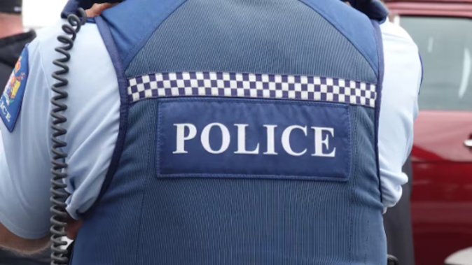 The partner of a New Zealand-based Australian diplomat was charged with assault after an early morning altercation with police in Wellington last month.
