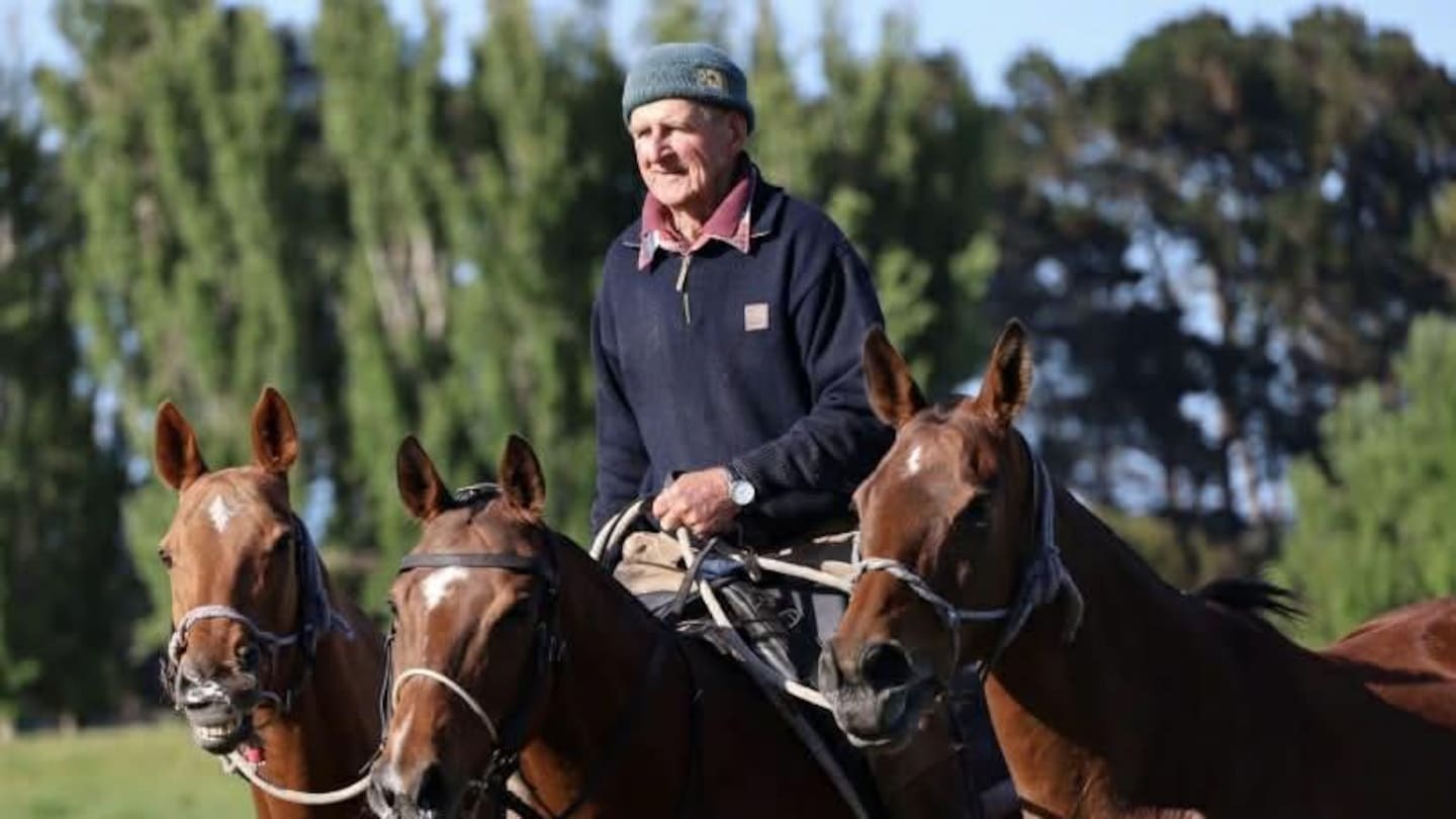'True legend': Horse community mourns polo player who died in match accident