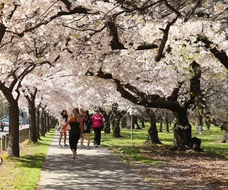 (Photo / Christchurch NZ)