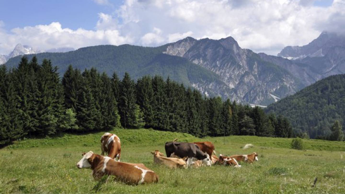 Photo / Getty Images