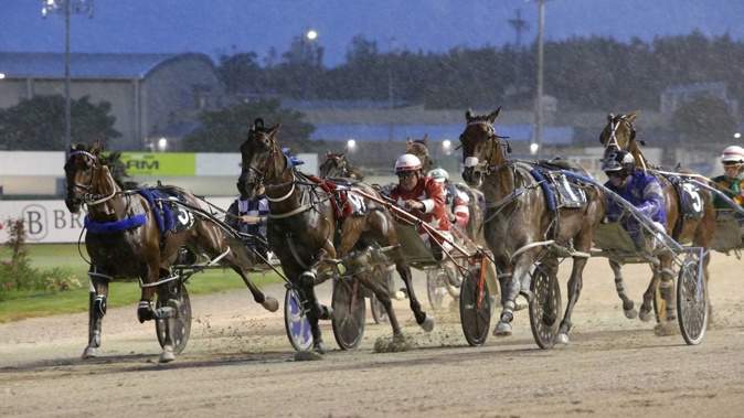 Two owners of harness race horses have been fined after abusing and threatening a greyhound trainer at a duel race meeting in Cambridge last Christmas Eve. (Photo / Harness Racing New Zealand)
