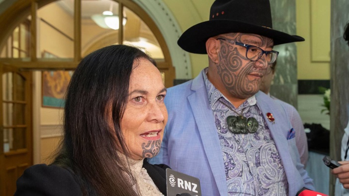 Māori Party co-leaders Debbie Ngarewa-Packer and Rawiri Waititi are disappointed that Police Commissioner Andrew Coster didn't turn up for a meeting. Photo / Mark Mitchell