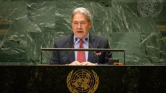 Winston Peters speaks at the UN General Assembly. Photo / NZ Herald