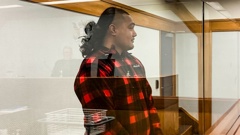 Daniel Anthony Luka was sentenced in the Wellington District Court this afternoon. Photo / Hazel Osborne