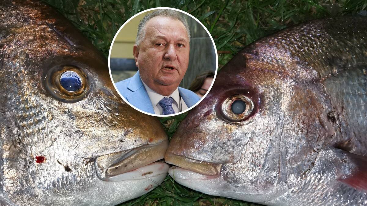 Shane Jones drops plan to scrap legal fish size limits after backlash