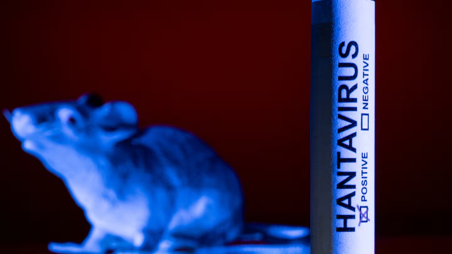 Hantavirus exposure: Second Kiwi isolating overseas as risk at home stays low