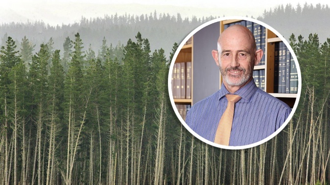 Ponsonby lawyer Andrew Jarvis has been fined $275,000 for breaching foreign buyer rules in connection with his role facilitating the sale of 271ha of forestry land Gisborne and Auckland.