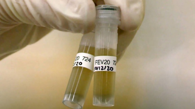Test tube with samples collected from wastewater for analysis at the ESR laboratory in Wellington to detect the presence of Covid-19. (Photo / Supplied)