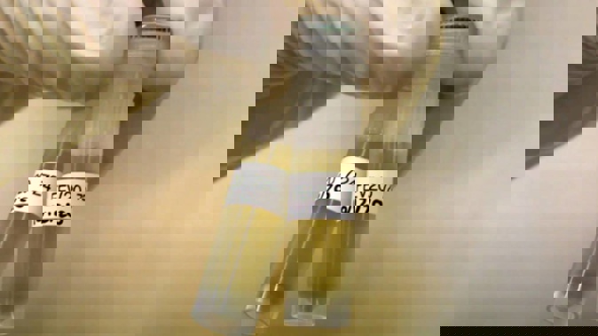 Test tube with samples collected from wastewater for analysis at the ESR laboratory in Wellington to detect the presence of Covid-19. (Photo / Supplied)