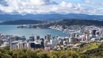 Kāinga Ora pushing for changes to Wellington's housing rules 