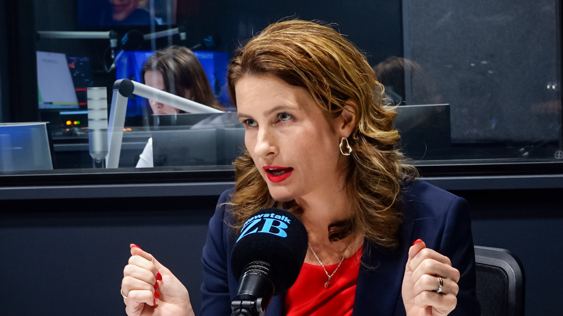 'It's not impossible': National may campaign on regulatory standards repeal, Willis says 