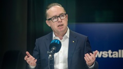 Qantas chief executive Alan Joyce. Photo / Michael Craig