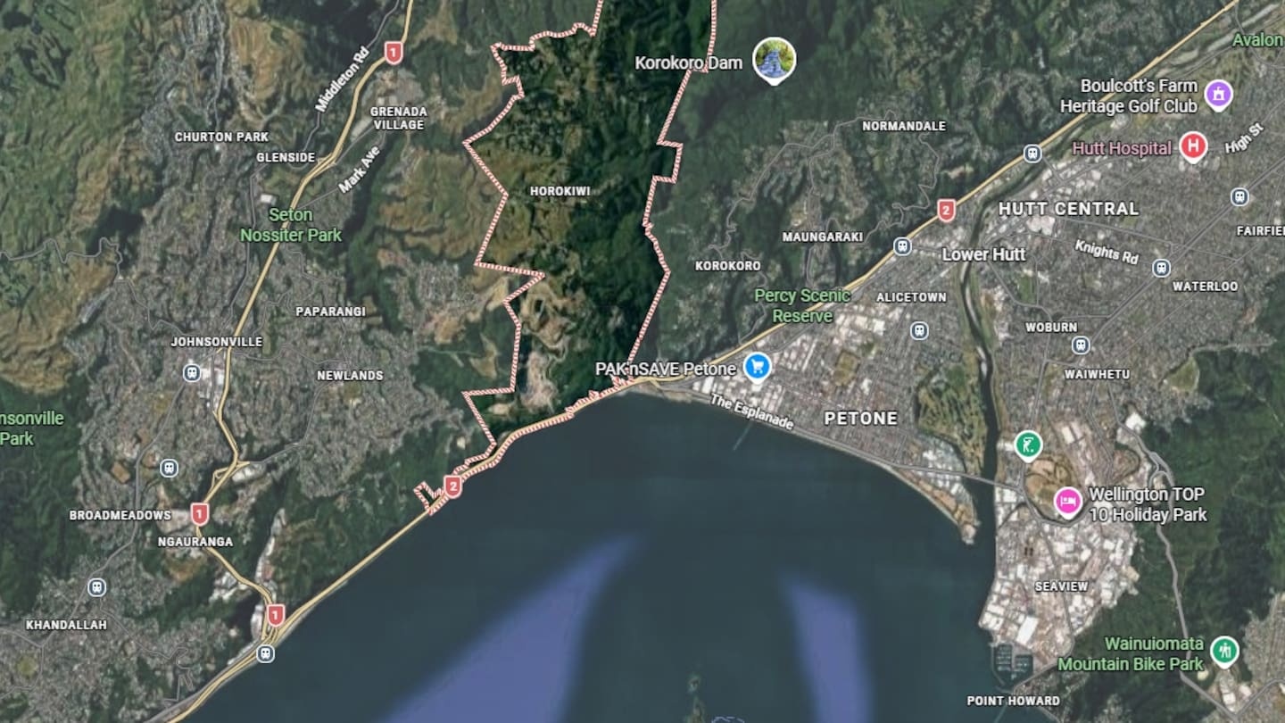 'Very in shock': Son witnesses mother's death on Wellington motorway