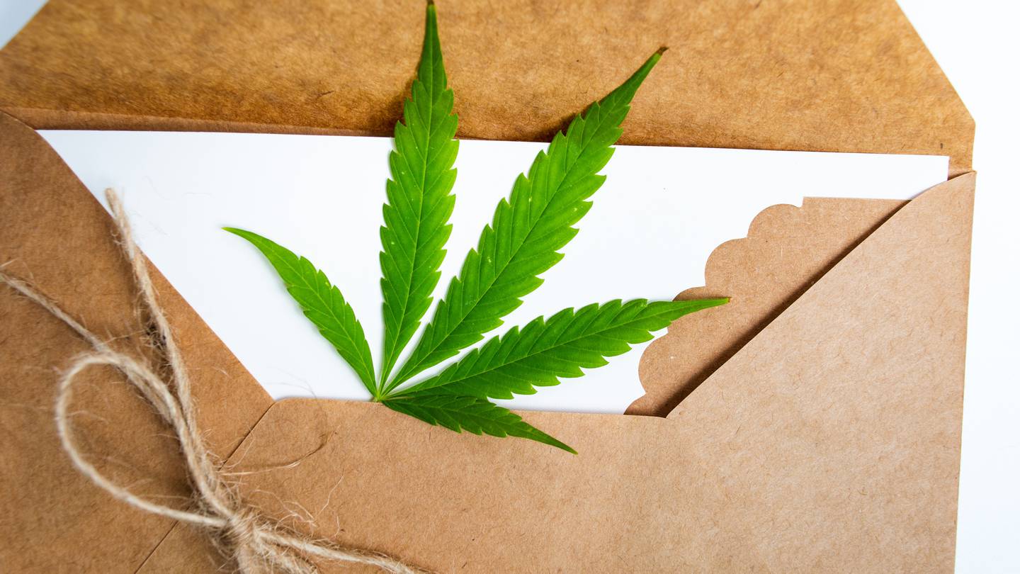 A man was referred by the police to Te Pae Oranga Iwi Panel after he was caught sending almost half a kilo of cannabis to his parents in the North Island. Photo / 123RF