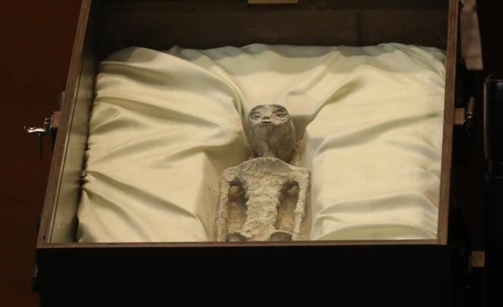 Politicians were reportedly left aghast by the presentation of the allegedly 'non-human' bodies. Photo / Handout/Getty Images